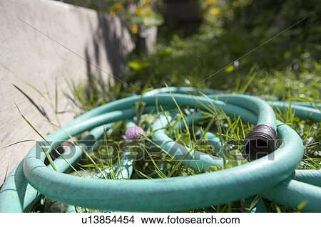 Picture - Garden hose, Cypress Street Community Garden, Vancouver, BC. Fotosearch