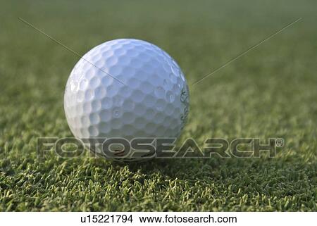Golf ball on organic golf course; Canada, Manitoba, Riding Mountain National Park View Large Photo Image Picture - Golf ball on organic golf course; Canada, Manitoba, Riding Mountain National Park. Fotosearch