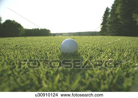 Picture - Golf ball on organic golf course; Canada, Manitoba, Riding Mountain National Park. Fotosearch