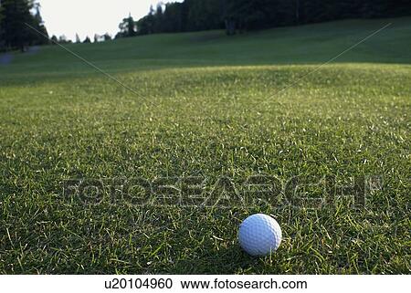 Golf ball on organic golf course; Canada, Manitoba, Riding Mountain National Park View Large Photo Image Stock Image - Golf ball on organic golf course; Canada, Manitoba, Riding Mountain National Park. Fotosearch