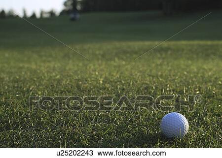 Golf ball on organic golf course; Canada, Manitoba, Riding Mountain National Park View Large Photo Image Stock Image - Golf ball on organic golf course; Canada, Manitoba, Riding Mountain National Park. Fotosearch
