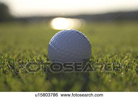 Stock Photograph - Golf ball on organic golf course; Canada, Manitoba, Riding Mountain National Park. Fotosearch