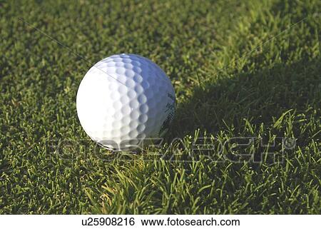 Golf ball on organic golf course; Canada, Manitoba, Riding Mountain National Park View Large Photo Image Stock Photograph - Golf ball on organic golf course; Canada, Manitoba, Riding Mountain National Park. Fotosearch