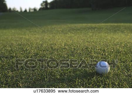 Golf ball on organic golf course; Canada, Manitoba, Riding Mountain National Park View Large Photo Image Stock Photography - Golf ball on organic golf course; Canada, Manitoba, Riding Mountain National Park. Fotosearch