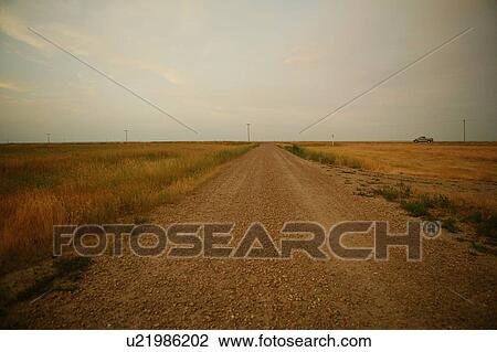Gravelled road in rural Saskatchewan, Canada View Large Photo Image Stock Image - Gravelled road in rural Saskatchewan, Canada. Fotosearch
