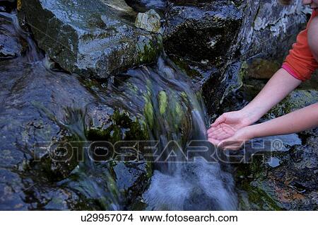 Picture - Hands in water, Vancouver Island, Canada. Fotosearch