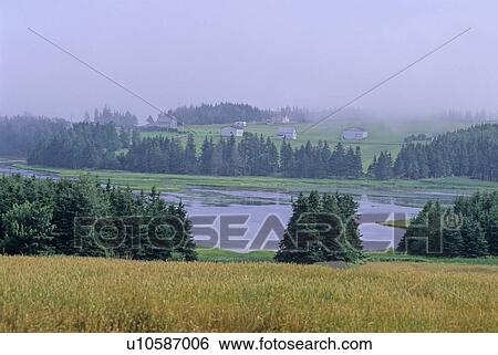 Hayfields and inlet in misty PEI, near Souris, PEI View Large Photo Image Stock Photograph - Hayfields and inlet in misty PEI, near Souris, PEI. Fotosearch