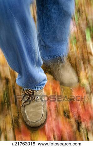Stock Photography - Hiking through autumn maple leaves in Cape Breton Highlands National Park.. Fotosearch