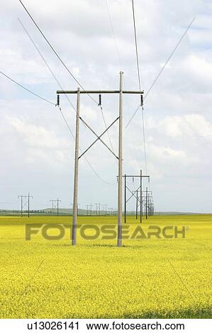 Stock Image - Hydro lines in Saskatchewan. Fotosearch