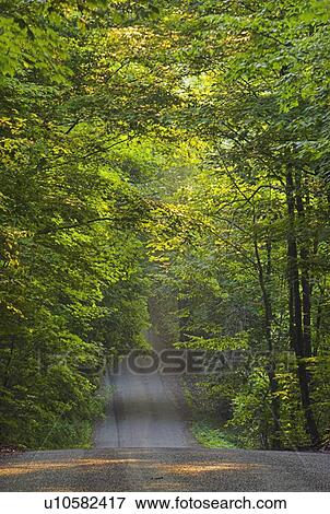 Lawler Road - Pelham Ontario - Niagara Region Ontario Canada, Canada View Large Photo Image Stock Photo - Lawler Road - Pelham Ontario - Niagara Region Ontario Canada, Canada. Fotosearch