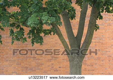 Stock Photo - Main Street Building Detail - Niagara-on-the-Lake, Ontario, Canada. Fotosearch