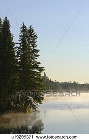 Stock Image - Mist at Étang-à-la-Truite (Trout pond), Gaspesie, Quebec. Fotosearch