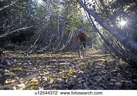 Mountain Biking, Whistler, BC, Canada View Large Photo Image Stock Image - Mountain Biking, Whistler, BC, Canada. Fotosearch
