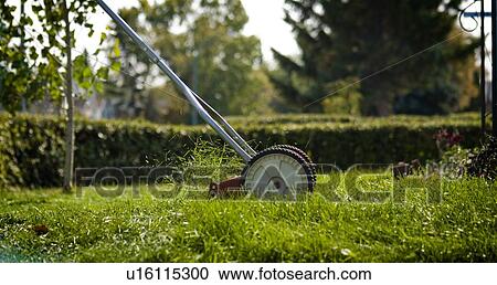 Stock Image - Mowing lawn with a reel mower, for exercise and to reduce energy use, Regina, Saskatchewan. Fotosearch