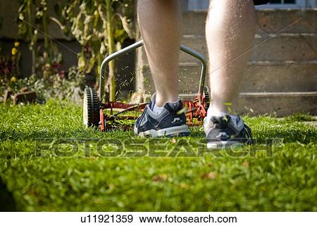 Mowing lawn with a reel mower, for exercise and to reduce energy use, Regina, Saskatchewan View Large Photo Image Stock Photo - Mowing lawn with a reel mower, for exercise and to reduce energy use, Regina, Saskatchewan. Fotosearch