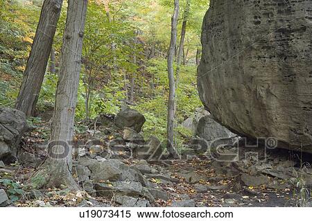 Stock Photography - Niagara Glen Nature Reserve - Niagara Falls Ontario, Canada. Fotosearch