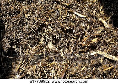 Pile of wood chips; Canada, Ontario, Hamilton (Composting Facility) View Large Photo Image Stock Image - Pile of wood chips; Canada, Ontario, Hamilton (Composting Facility). Fotosearch