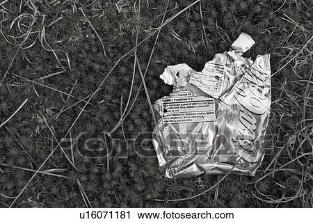 Pop Can View Large Photo Image Stock Image - Pop Can. Fotosearch