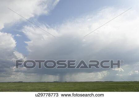 Rain clouds over green prairie; Canada, Manitoba, Erickson View Large Photo Image Stock Image - Rain clouds over green prairie; Canada, Manitoba, Erickson. Fotosearch