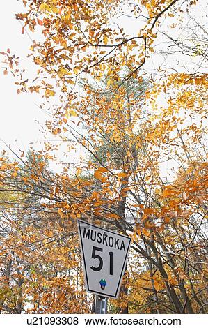 Stock Photo - Road Sign, Baysville, Ontario.. Fotosearch