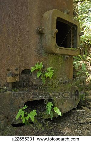 Stock Image - Rusty boiler from a steam engine used for logging in the early 20th century, West Coast Trail, Pacific Rim National Park Reserve, BC, Canada. Fotosearch