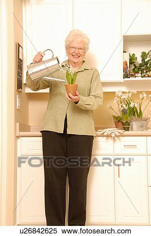 Senior Woman with plants; Canada, Saskatchewan, Regina View Large Photo Image Stock Photography - Senior Woman with plants; Canada, Saskatchewan, Regina. Fotosearch