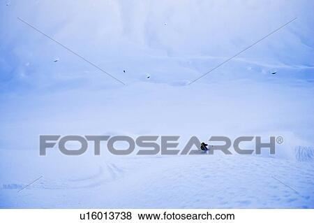 Stock Photo - Skier dwarfed by mountain; Canada, British Columbia, Rogers Pass. Fotosearch