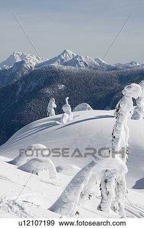 Snowshoeing on Grouse Mountain, British Columbia View Large Photo Image Stock Photo - Snowshoeing on Grouse Mountain, British Columbia. Fotosearch