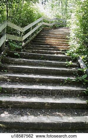 Stairs on Mount Royal, Montreal, Quebec View Large Photo Image Stock Image - Stairs on Mount Royal, Montreal, Quebec. Fotosearch