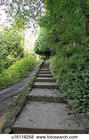 Stone staircase surrounded by greenery, Canada, Ontario, Dundas View Large Photo Image Stock Photo - Stone staircase surrounded by greenery, Canada, Ontario, Dundas. Fotosearch