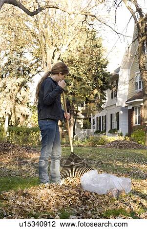 Teen girl raking leaves for recycling, Canada View Large Photo Image Stock Image - Teen girl raking leaves for recycling, Canada. Fotosearch