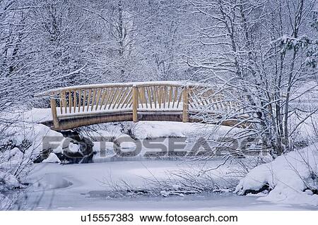 Stock Image - The Bridge of Sighs, at Rainbow Park, Whistler, BC in early winter. Fotosearch