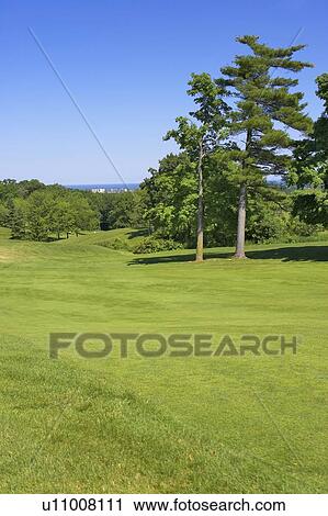 The greens of a golf course with a view of the lake, Canada, Ontario, Burlington View Large Photo Image Stock Image - The greens of a golf course with a view of the lake, Canada, Ontario, Burlington. Fotosearch