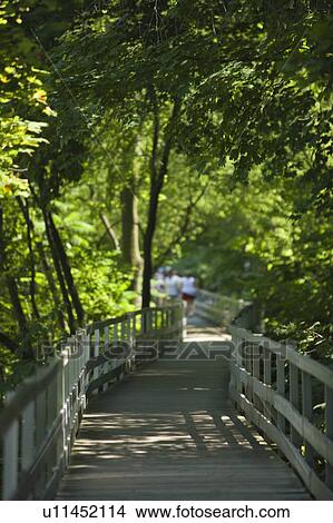Picture - The 'Whitewater Walk' boardwalk trail - Niagara Falls Canada. Fotosearch