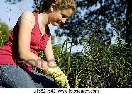 Stock Image - Twelve year old girl gardening, Winnipeg, Canada. Fotosearch