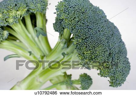 Stock Photograph - Two bunches of broccoli. Fotosearch