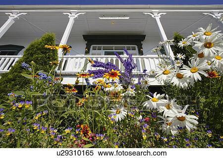 View of Auberge Manoir Tache (Inn) and flowers, Bas-Saint-Laurent region, Quebec, Canada View Large Photo Image Stock Photography - View of Auberge Manoir Tache (Inn) and flowers, Bas-Saint-Laurent region, Quebec, Canada. Fotosearch