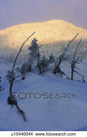 View of landscape at Gagnon Lake, Quebec, Canada View Large Photo Image Picture - View of landscape at Gagnon Lake, Quebec, Canada. Fotosearch