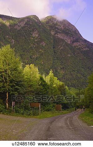 View of path, hikers and Mont Nicol-Albert, Gaspesie, Quebec View Large Photo Image Stock Image - View of path, hikers and Mont Nicol-Albert, Gaspesie, Quebec. Fotosearch
