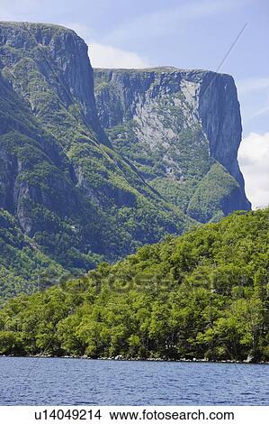 View of Western Brook Pond, Gros Morne NP, Newfoundland, Canada View Large Photo Image Picture - View of Western Brook Pond, Gros Morne NP, Newfoundland, Canada. Fotosearch