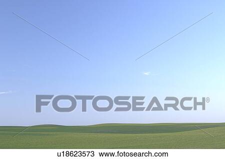 Vista of lust green field; Canada, Manitoba, Erickson View Large Photo Image Stock Image - Vista of lust green field; Canada, Manitoba, Erickson. Fotosearch