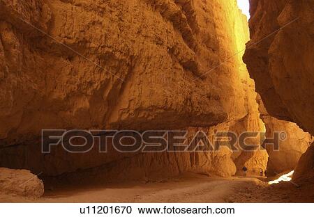 Stock Image - Wall Street Canyon, Bryce Canyon National Park Utah. Fotosearch