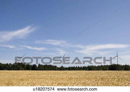 Picture - Wind turbines, near East Point, Prince Edward Island. Fotosearch