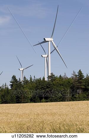 Wind turbines, near East Point, Prince Edward Island View Large Photo Image Stock Image - Wind turbines, near East Point, Prince Edward Island. Fotosearch