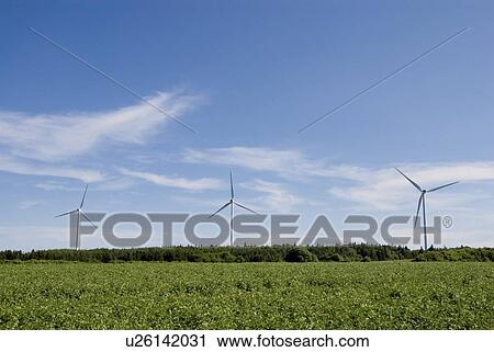 Stock Image - Wind turbines, near East Point, Prince Edward Island. Fotosearch