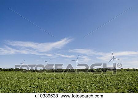 Wind turbines, near East Point, Prince Edward Island View Large Photo Image Stock Photo - Wind turbines, near East Point, Prince Edward Island. Fotosearch