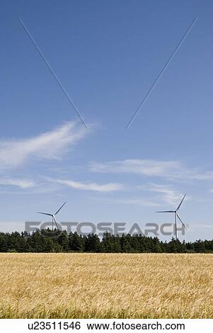 Wind turbines, near East Point, Prince Edward Island View Large Photo Image Stock Photograph - Wind turbines, near East Point, Prince Edward Island. Fotosearch