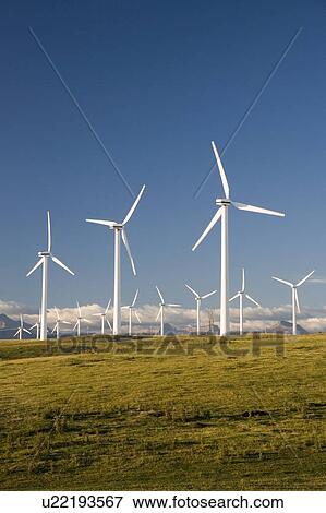 Windmills used to generate electrical power near Pincher Creek in southern Alberta, Canada View Large Photo Image Stock Photo - Windmills used to generate electrical power near Pincher Creek in southern Alberta, Canada. Fotosearch