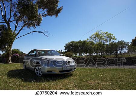 Picture - Car stop at tree side. Fotosearch
