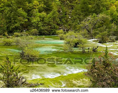 Jiuzhaigou, Sichuan Province, Peoples Republic of China View Large Photo Image Stock Photo - Jiuzhaigou, Sichuan Province, Peoples Republic of China. Fotosearch